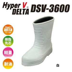 iS DSV-3600 SS(22.5`23.0cm) cyEVAqC