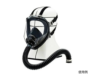 VQ}c uhŃ}XN GM161-1 L 1(󒍐Yi)