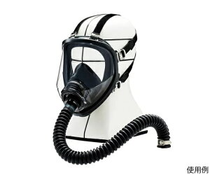 VQ}c uhŃ}XN GM161-1 S 10(󒍐Yi)