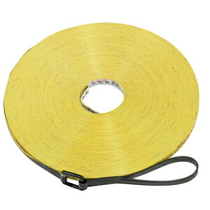 ^W} VR e[v 100m YSM-100R