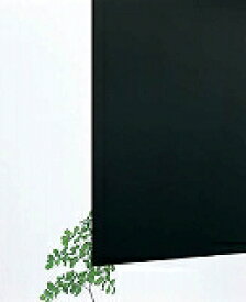 光 アクリルキャスト板 黒 2×1860×930 穴ナシ KAC91827