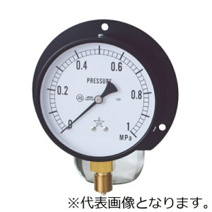 E ʐ^v (Cp) BMT3/8-100X-0.1MPA