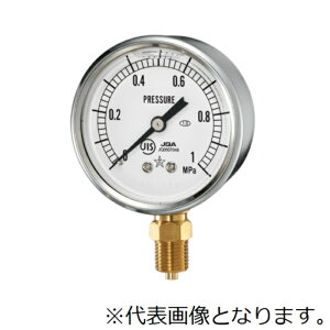 E OZ^v (ėpi) G-AU1/4-60X-0.1MPA