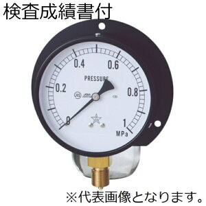 E ʈ͌v Cp яt BMT3/8-100X2.5MPa