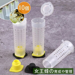 養蜂用 女王蜂 飼育ケース 10個 養蜂器具 保護ケージ 飼育棒 セルカップキット ツール 女王蜂育成システム 養蜂器具 女王蜂育成システム 逃去防止器 管状 分蜂捕獲器 蜜蜂を収集する装置 養