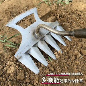  [L Xe[L F6{ 蓹 [L K[f[L 蓹  y pr G [L ƒ̏/a@/ẙɂ/d/ |p pF 