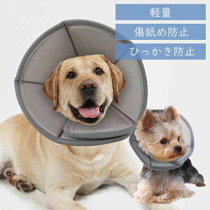 GUxXJ[ p Lp _炩 y \tg h  }WbNe[v 畆a ی p XgXy pi r h~D p Lp ^p p㏝ی 