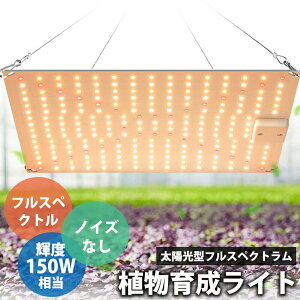 A琬Cg LED 60W pl MUP/ IP65h ʎqv ͔| A k͔|v tXyNg UV/IR  ʎqv ͔|v Ap ϗtA k͔|p