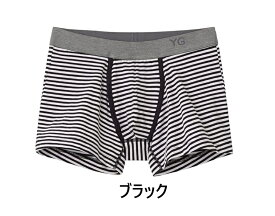 ★在庫限りで終了★[グンゼ] ボーダーボクサーブリーフ（前あき）YG YV4281 メンズ サイズ M/L 4枚までゆうパケット便可能です。