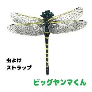 g[h(TRADE ONE) Ƃ 悯΍ 悯 oR Lv ނ Ij}N rbO}  I  90086