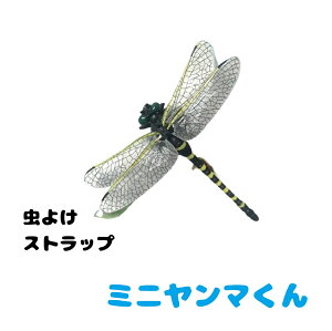 g[h(TRADE ONE) Ƃ 悯΍ 悯 oR Lv ނ Ij}N ~j}  I  90087