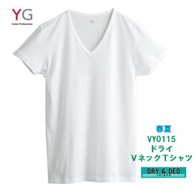 ★在庫限りで終了★ YV0115-1 単品 春夏 DRY VネックTシャツ グンゼ YG メンズインナー 吸汗 速乾 サイズ M L カラー 白 ライトグレー