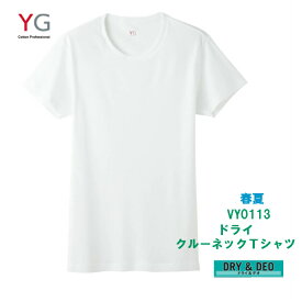 ★在庫限りで終了★ YV0113-1 単品 春夏 DRY クルーネックTシャツ グンゼ YG メンズインナー 吸汗速乾 丸首半袖 サイズ M L カラー 白 ライトグレー