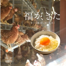 福が、きた　2023年グッドエッグアワード受賞　アニマルウェルフェア　エイビアリー　あさぎり宝山ファーム　放し飼いたまご　 静岡県産 富士山麓 富士宮 朝霧高原 冷蔵庫（10℃以下）で保存してください MS52g～LL76g未満
