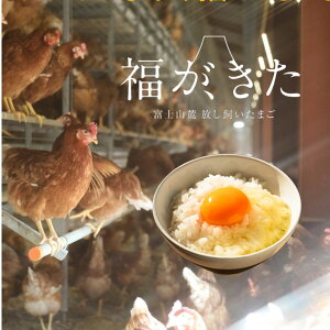 A@2023NObhGbOA[h܁@Aj}EFtFA@GCrA[@Rt@[@܂@ ÉY xmR[ xm{  ①Ɂi10ȉj