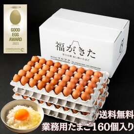 「福が、きた」業務用　2023年グッドエッグアワード受賞　アニマルウェルフェア　エイビアリー　あさぎり宝山ファーム　放し飼いたまご　 静岡県産 富士山麓 富士宮 朝霧高原 冷蔵庫（10℃以下）で保存してください フリーサイズ　10Kg　MS52g～LL76g未満