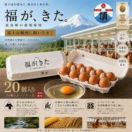 富士山麓放し飼いたまご『福が、きた』20個入り(10個入り×2パック)