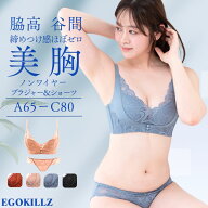 VIRGO'S 育乳 脇高 補正でしっかり谷間！フェザーレース ノンワイヤーブラ ( 美胸 美背 レース 総レース …