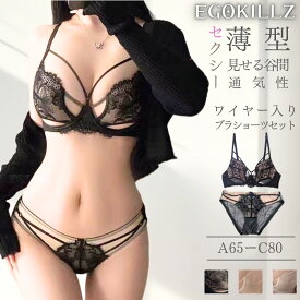 ブラショーツセット 薄型パッド 上下セット 下着 ワイヤー入り ブラ 美胸 美背 谷間 盛れる ブラジャー ショーツ ブラショーツ ランジェリー インナー レディース セクシー 快適