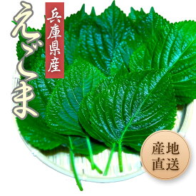 ◆産地直送！兵庫県産エゴマの葉 【100枚】◆■ えごまの葉 えごま 葉 エゴマ 葉っぱ 韓国食材 韓国野菜 ケッニプ 荏胡麻 江胡麻の葉 焼肉 付け合わせ 野菜 包み野菜 国産 野菜宅配 野菜通販 新鮮野菜 韓国食品 韓国料理 新鮮 産直 お取り寄せ お取り寄せ野菜 韓国グルメ