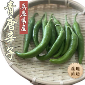 ◆産地直送！兵庫県産 青唐辛子 【200g】◆ ■ 青とうがらし 生唐辛子 フレッシュ 国産唐辛子 青唐 青トウガラシ とうがらし トウガラシ 唐辛子 国産 韓国食材 韓国料理 辛いもの 薬味 国産青唐辛子 焼肉 炒め物 漬け 辛味 新鮮 野菜宅配 産地直送 産直野菜 農家直送