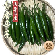 兵庫県産 青唐辛子 【 200g 】 送料無料 農家直送 国産 生 青とうがらし プッコチ 産地直送 生野菜 トウ…