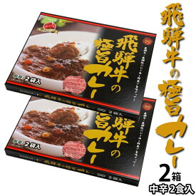 飛騨牛の極旨カレー（キーマカレー）中辛 2食入り 2箱 4人分