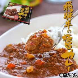 飛騨牛の極旨カレー（キーマカレー）中辛 2食入り