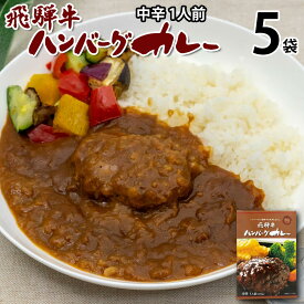 飛騨牛ハンバーグカレー 中辛 1食入り 5袋5人分 レトルトカレー ハンバーグ