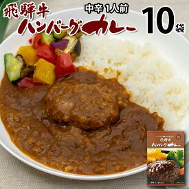 飛騨牛ハンバーグカレー 中辛 1食入り 10袋10人分 レトルトカレー ハンバーグ 送料無料