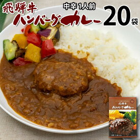 飛騨牛ハンバーグカレー 中辛 1食入り 20袋20人分 レトルトカレー