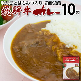 飛騨牛カレー 甘口 1人分 1食入り 10袋10人分 レトルトカレー 送料無料