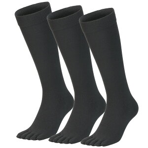 싅 \bNX 5{w 3g  lCr[  VAXPOT(obNX|bg) VA-6015 3Zbg RۖhL z ܖ{w x[X{[ 싅\bNX A_[\bNX nC\bNX XgbLO X|[