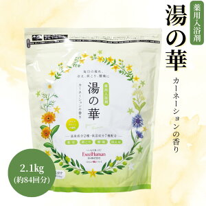 y܁z̉ 2.1LO ێ ₦ J rꐫ  _o  E}`  ̂͂ { Mtg GNZq[} GNZ EH