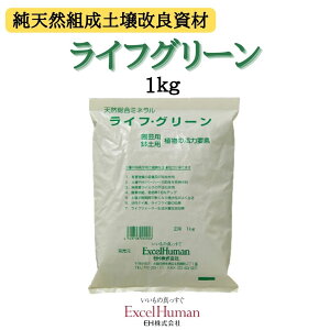 CtO[ 1kg@yǍ y VR~l PC_ |p K[fjO   A yp eh EH GNZq[}