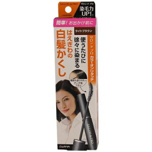 �_�����@�T�����h�v���@�J���[�I�����^�b�`�@����������EX�@���C�g�u���E���@15ML