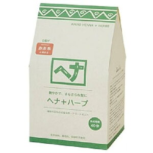 yGg[P5{ziCA[h@wi10̃n[u@400G