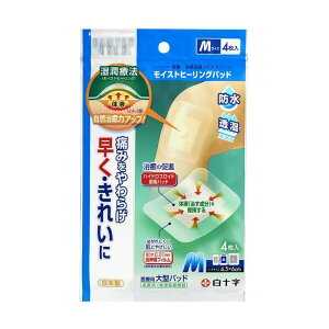 y݌Ɍz\@t@~[PA@CXgq[Opbh@MTCY@4@^Jnp