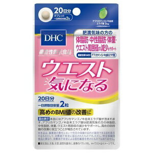 DHC@(fB[GC`V[)@EGXgCɂȂ@20@@\\Hi