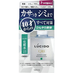 }_@LUCIDO@Q10@Ђ艻ϐ@@110ML@ϐ