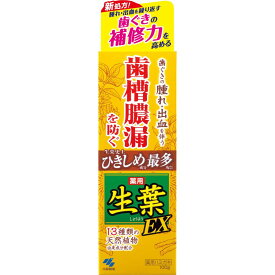 小林製薬 生葉EX ひきしめ実感EX 100G 歯磨き粉