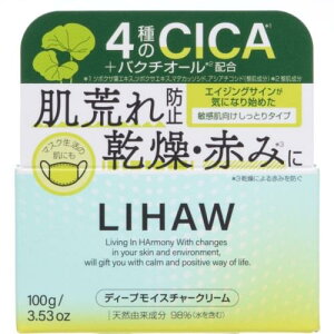 s[@LIHAW@fB[vCX`[N[