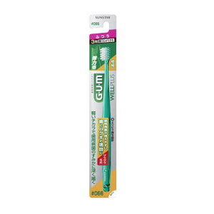 �T���X�^�[�@GUM�@WELLPLUS�@�f���^���u���V�@066�@�ӂ��@1�{