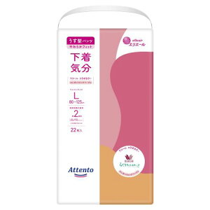 y݌Ɍz剤@Aeg@^pc@C@GKgsNׁ[W@L@22