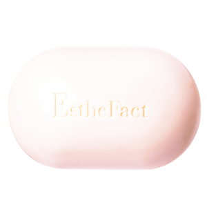 ̗F@GXet@NgE\[vV1 100gyz