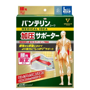 a@oeT|[^[@pŒ^Cv@傫߃TCY@u[O[