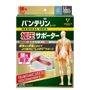 a@oeT|[^[@pŒ^Cv@傫߃TCY@u[O[