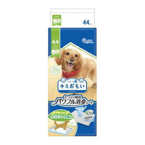 yGg[P5{z剤@ptLV[g@Ch@44