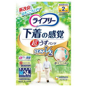 y݌ɌzjE`[@Ct[@^opc@M@24