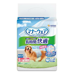 j`[@}i[EFA@ԉKIc@j̎qp@STCY@40